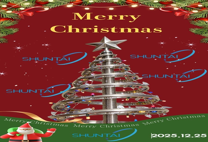 Ferienaktivitäten | Weihnachtstag